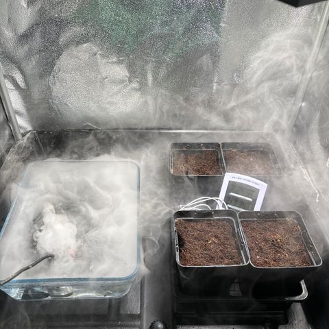 Mendo T growlog timeline photo