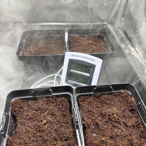 Mendo T growlog timeline photo