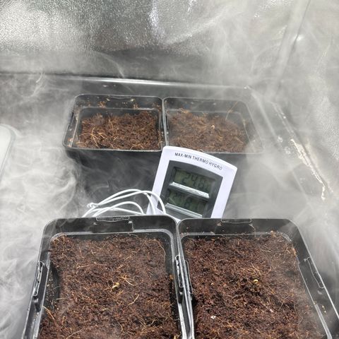 Mendo T growlog timeline photo