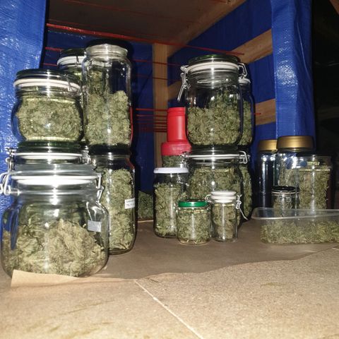 Tryah growlog photo: Happy Days 