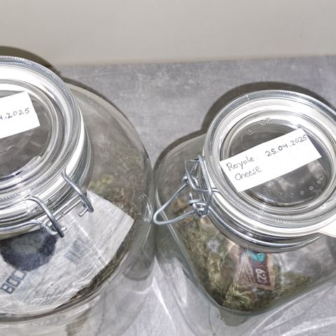 Wedding Cake WeedSeedShop growlog photo: Boveda pack in jedem drin.
RLF nach 5 min 64%
Lasse es offen für eine halbe Stunde.