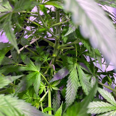 Margarete  growlog timeline photo