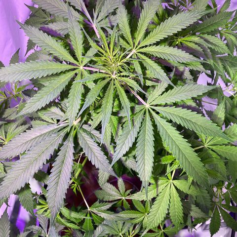 Margarete  growlog timeline photo