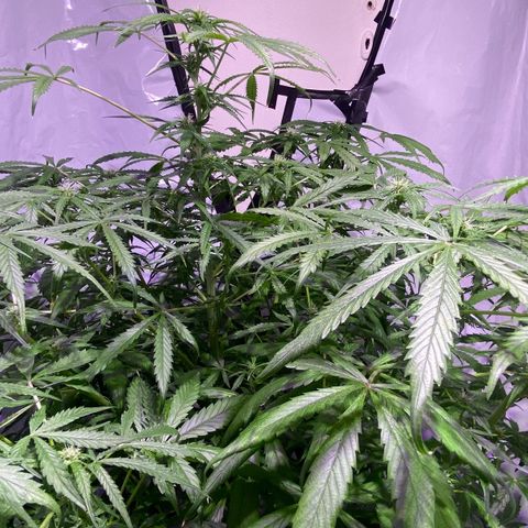 Margarete  growlog timeline photo