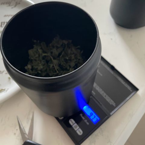Diana growlog timeline photo