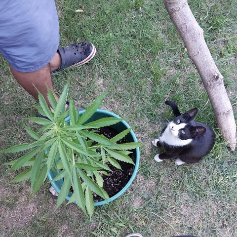 sweetiee growlog timeline photo