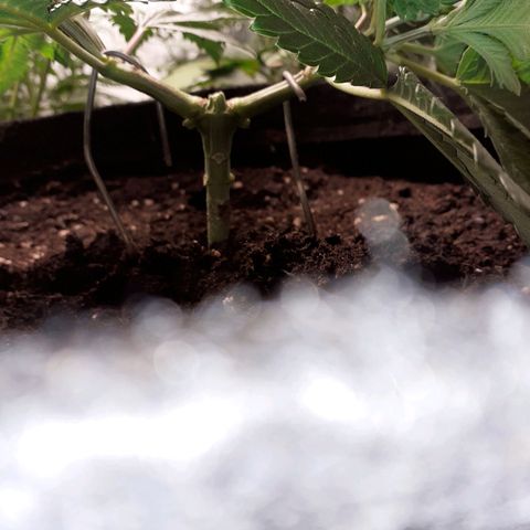 Pakistan Valley  growlog timeline photo