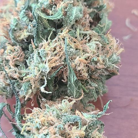 Ams Extreme growlog photo: Plan 123/9