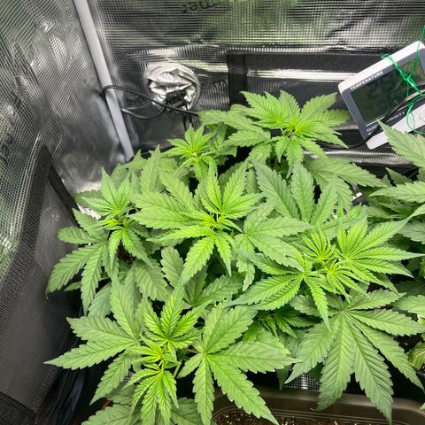 Jane I growlog photo: 22:00 Uhr