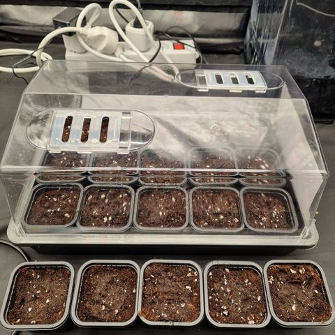 ORION growlog timeline photo