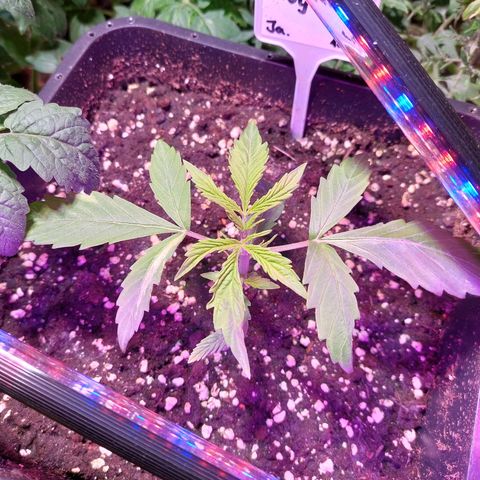 AKj growlog timeline photo