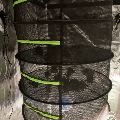 SKSR #1 growlog timeline photo