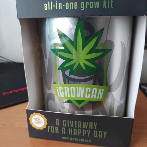 Green Gelato Auto - My First Grow! growlog photo: iGrowCan from Royal Queen Seeds. 4 days to sprout in provided coco, rooter and grow powder under natural light.