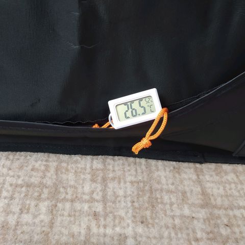 Green Gelato Auto - My First Grow! growlog photo: Grow tent and growth on day 8. 