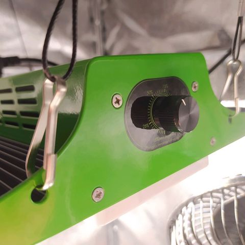 Green Gelato Auto - My First Grow! growlog photo: Some grow pictures from day 12 of my first Grow!