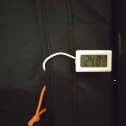 Green Gelato Auto - My First Grow! growlog photo: Some grow pictures from day 12 of my first Grow!