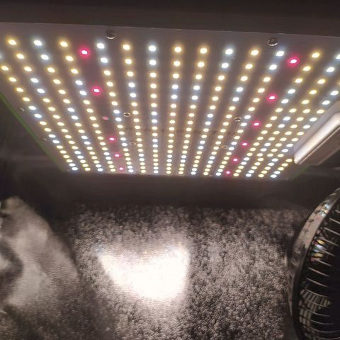 Green Gelato Auto - My First Grow! growlog photo: Lights and extractor fan/filter combo. Had to cut ducting myself and I cut too much between the filter and fan. That's why it's bending.