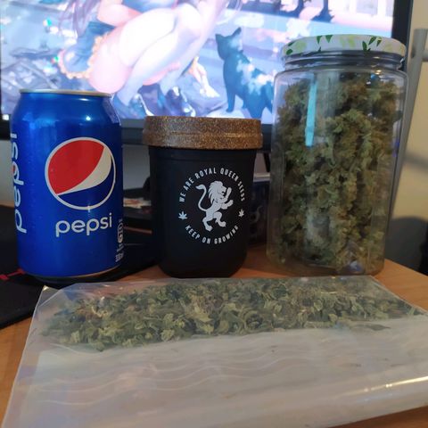 Green Gelato Auto - My First Grow! growlog photo: 34g + about 10g of sugar leaves from final trim . Most of it is in the clear jar and the majority of the popcorn bits are in RQS's curing jar. I will leave the large jar to cure naturally for a week and then add a 58% humidity pack.