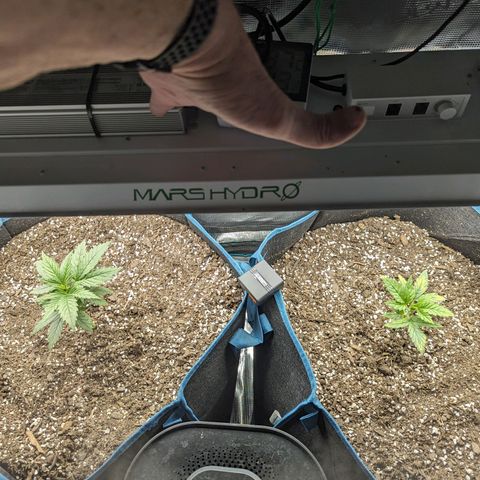Grow-1-2023/2024-Indoor-Winter growlog timeline photo