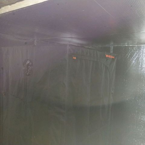 Pineapple Express Auto growlog timeline photo