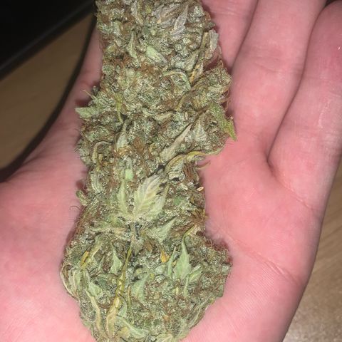 Jupiter  growlog timeline photo