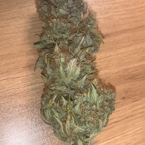 Jupiter  growlog timeline photo