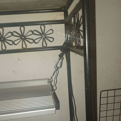 Maria growlog timeline photo