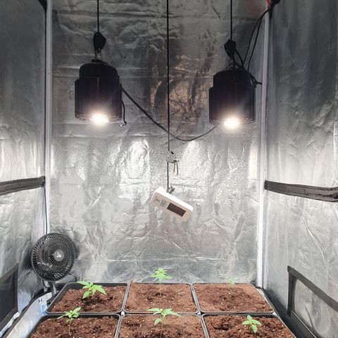 ZMAC growlog timeline photo