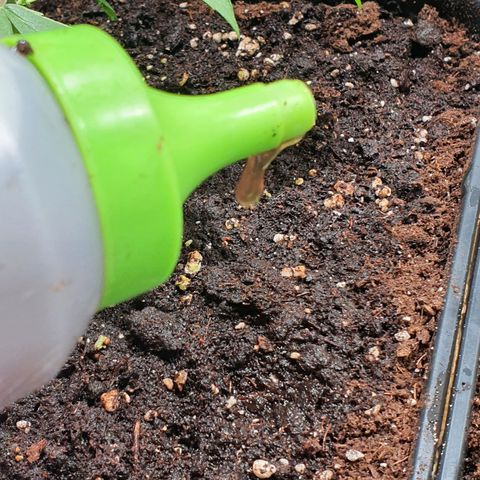 ZMAC growlog timeline photo