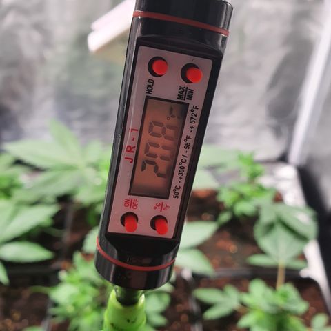 ZMAC growlog timeline photo
