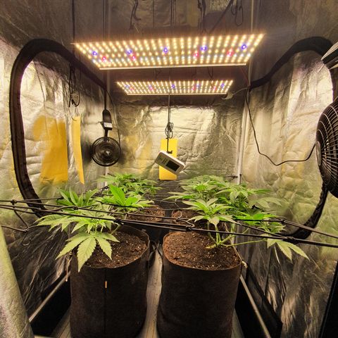 ZMAC growlog timeline photo