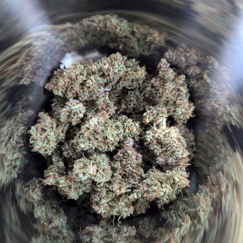 Blue Cheese Automatic growlog timeline photo