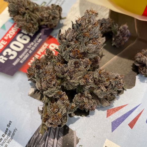 Tropical Thunder  growlog timeline photo