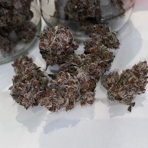Tropical Thunder  growlog timeline photo