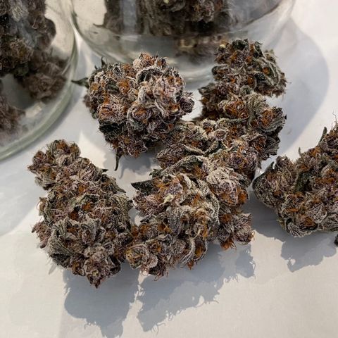 Tropical Thunder  growlog timeline photo