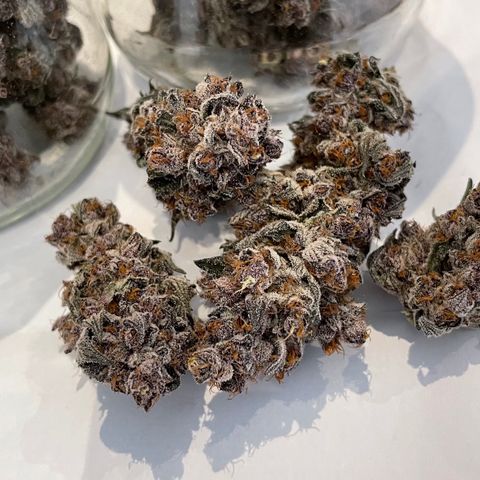 Tropical Thunder  growlog timeline photo
