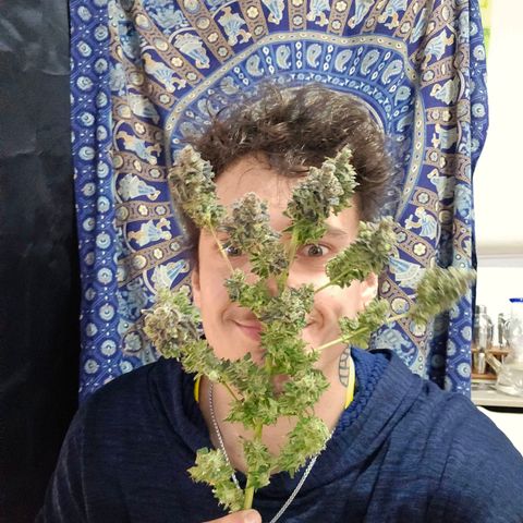 Gelatto#33 #1 growlog timeline photo