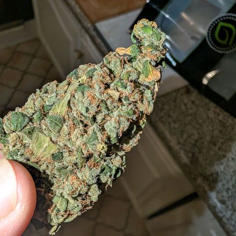 Sour Diesel Auto growlog timeline photo