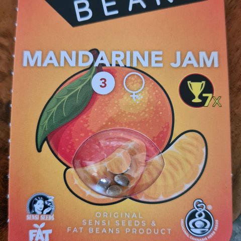 Mandarine Jam growlog timeline photo
