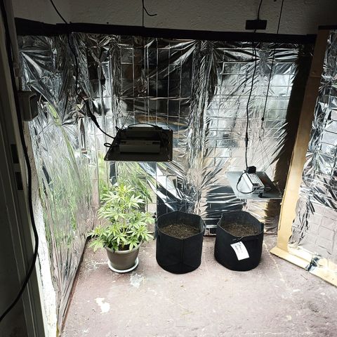Royal Jack Auto growlog photo: Umgezogen 