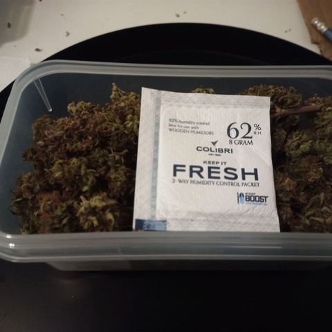 Royal Jack Auto growlog timeline photo