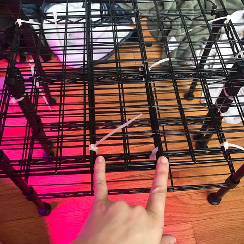 Mac growlog photo: I bought 2 spice racks from amazon and zip tied them with some frames from the wire organizer. It’s working well, although the poles get in the way when moving Mac and Charlie around.