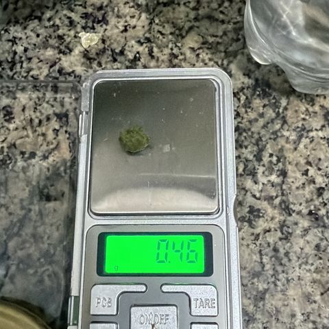 Amnesia Auto growlog photo: 70g de amnesia trima e pipoca
76g de flores
 1º batida 25m = 0,78
2º batida de 25m = 2,7
1º batida de 73m = 1,17
2º batida de 73m = 1,78
1 e 2 batida de 140 = 0,46


