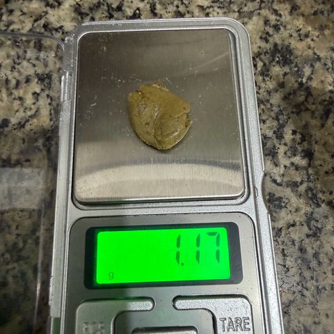 Amnesia Auto growlog photo: 70g de amnesia trima e pipoca
76g de flores
 1º batida 25m = 0,78
2º batida de 25m = 2,7
1º batida de 73m = 1,17
2º batida de 73m = 1,78
1 e 2 batida de 140 = 0,46


