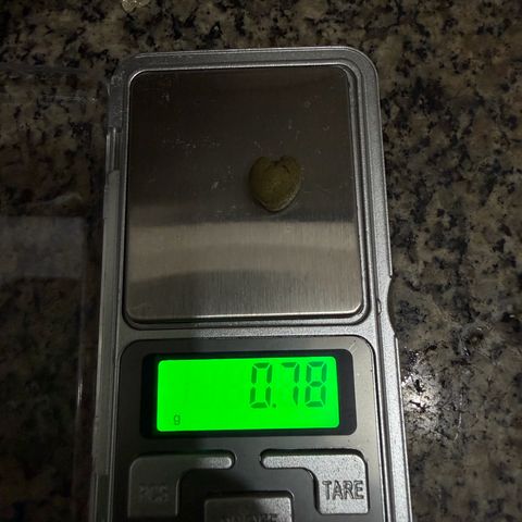 Amnesia Auto growlog photo: 70g de amnesia trima e pipoca
76g de flores
 1º batida 25m = 0,78
2º batida de 25m = 2,7
1º batida de 73m = 1,17
2º batida de 73m = 1,78
1 e 2 batida de 140 = 0,46


