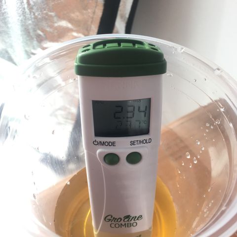 Super Lemon Haze #2 growlog timeline photo