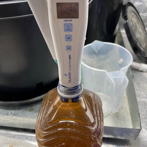 Mandarin Queen growlog timeline photo