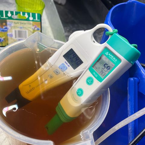 Mandarin Queen growlog photo: correcting cal mag def, 1440 and criping UP 