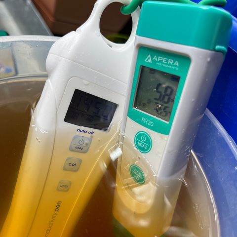 Mandarin Queen growlog photo: RHIZOSPHERE PH = 6.0. lowering a bit