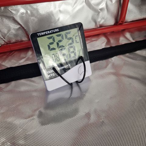 Autumn growlog timeline photo